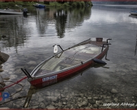 TSR Watermark - 0324